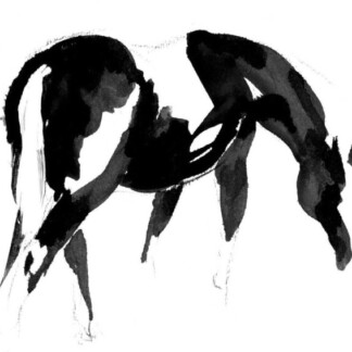 Image of Whisper of a Graze by Diana Hand